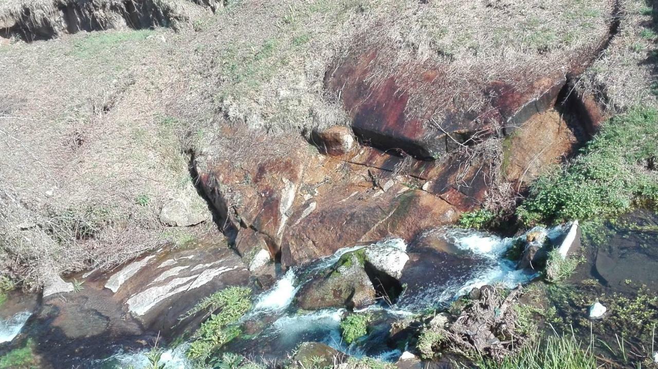 Quinta De Alvarenga Exteriör bild